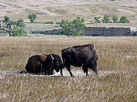 Badlands (38).JPG